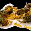 topinambur-blatt-blueten-tee-bio-die-heilkraft-des-topinambur-kannst-du-mit-diesem-tee-erfahren-detailansicht